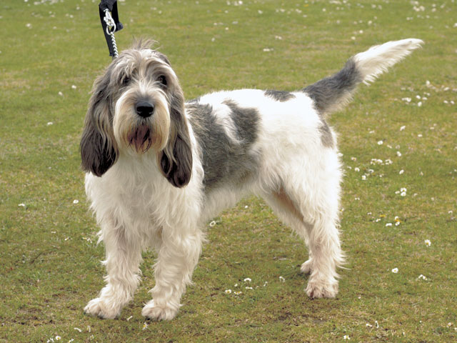 �����Ƒ��Ɍ}����O��